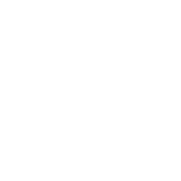 Symbol Reinigung